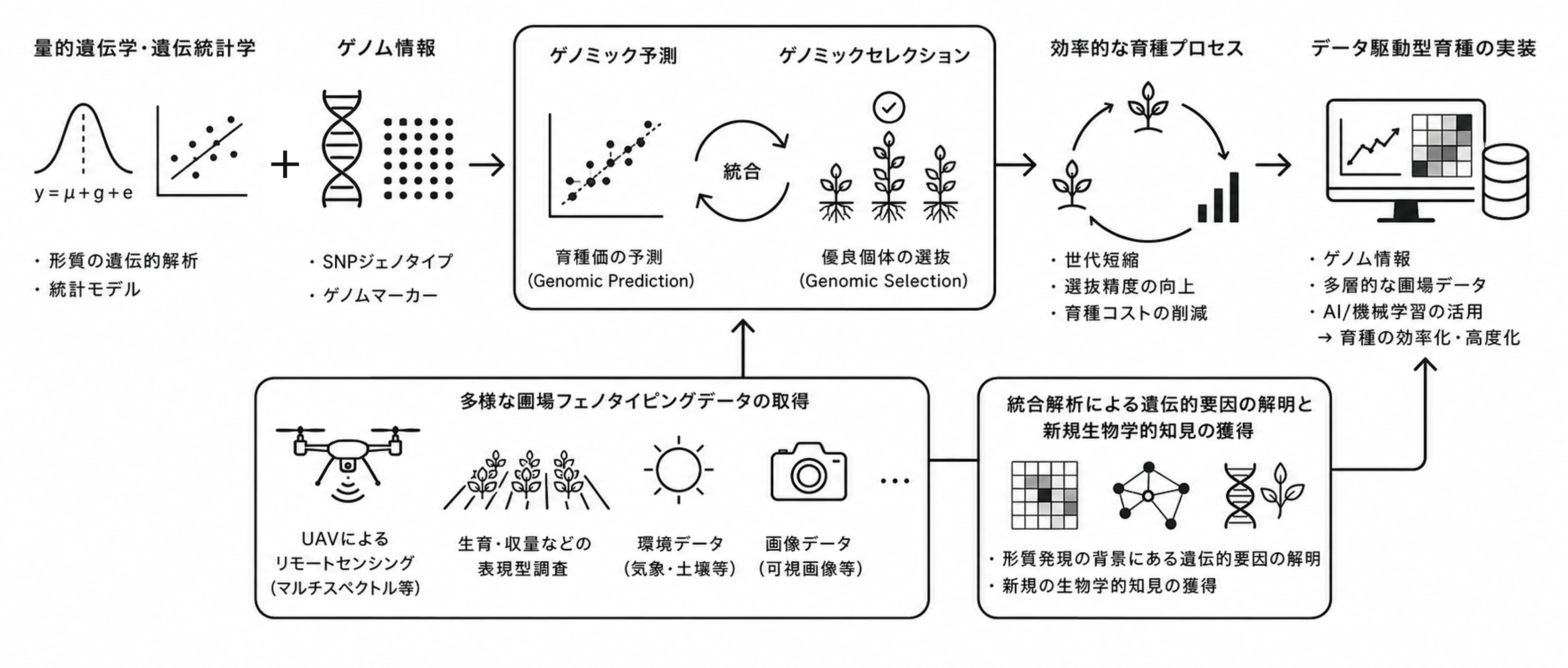 Research approach workflow diagram
